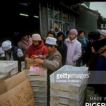 定州白菜最新市场行情分析