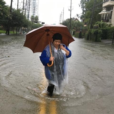 哈维飓风最新动态及走向分析（XXXX年XX月XX日）
