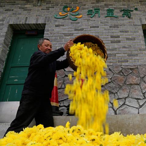 宜丰最新规划国道，引领城市发展的交通动脉