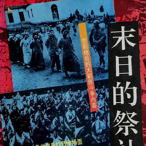 末日余晖，深度解析2025最新丧尸电影