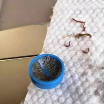 临澧最新新闻报道更新