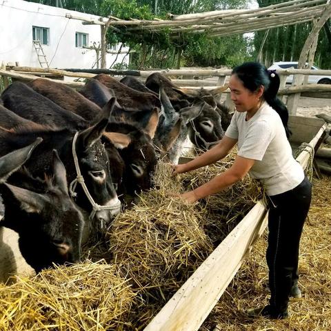 智能家居集成服务市场潜力巨大，最新生意机遇探索