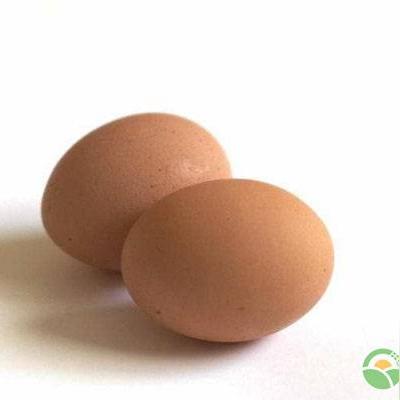 回龙观鸡蛋价格最新动态及分析