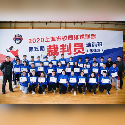 最新排球规则解析（2025版）全面解读排球规则变化