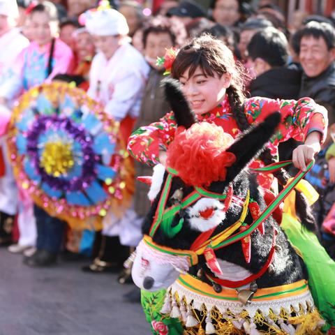 美女骑毛驴，传统与时尚的交融