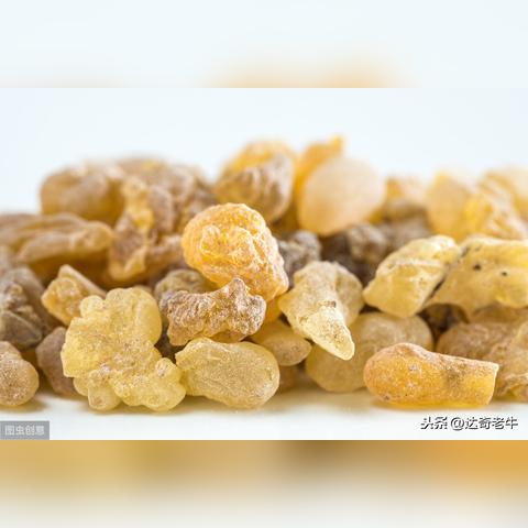 西药钓鱼新配方揭秘，科学钓鱼进阶指南