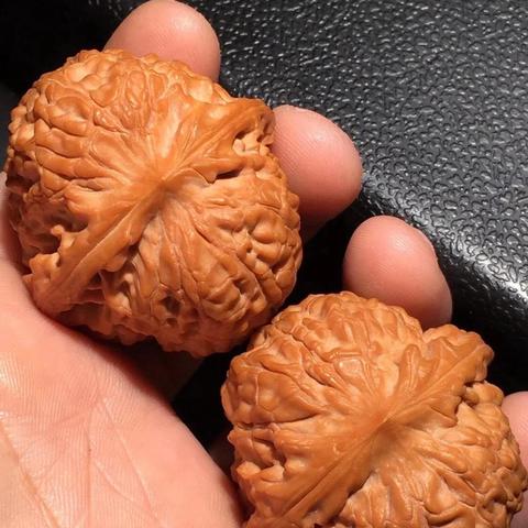 最新文玩品种揭秘，热门新宠探索