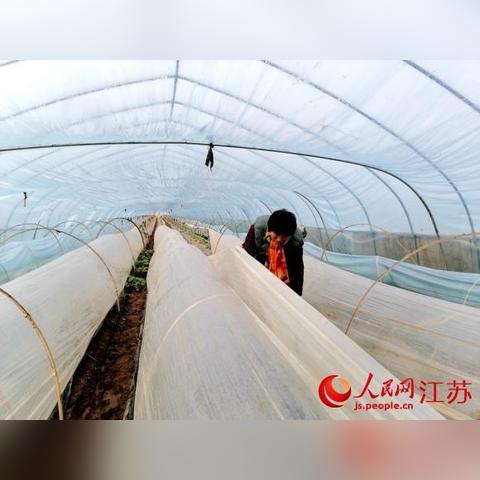 一次性纸杯机 第18页