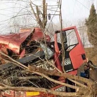 馆陶车祸事件最新深度报道