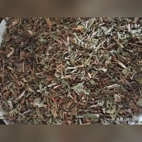 汗半夏最新价格走势及分析