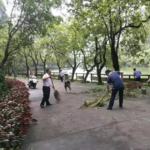 台风鸽子实时更新消息，最新动态关注中