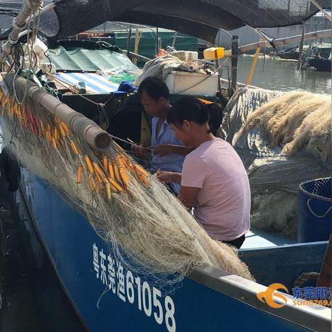 虎门最新天气预报及天气更新