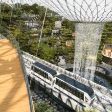 海湾雨林生态最新动态，可持续发展与恢复之路