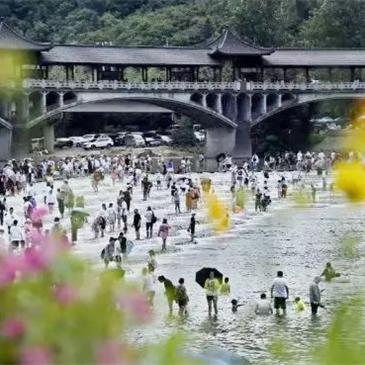 富阳最新新闻报道更新，时事动态概览
