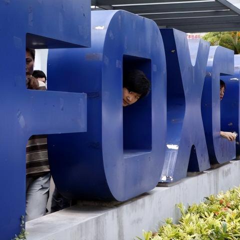 智慧树最新进展报告,迈向未来,展望智慧生态发展