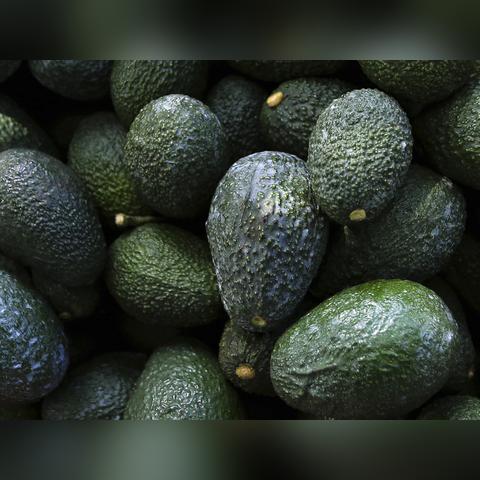 智慧树最新进展报告,迈向未来,展望智慧生态发展