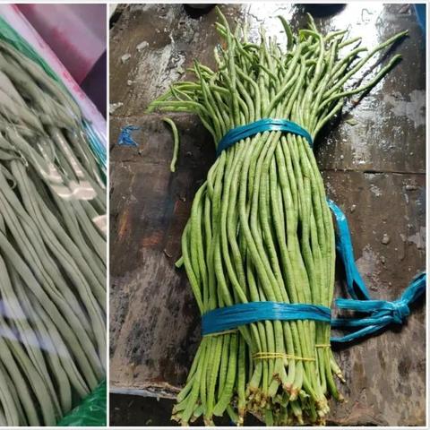 今日豇豆价格走势分析，最新市场动态