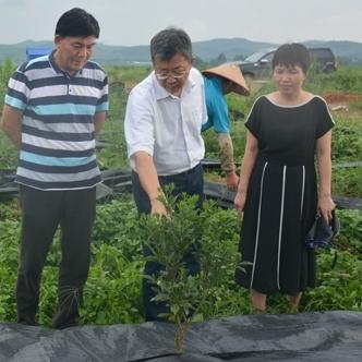 桔园小区全新规划蓝图发布