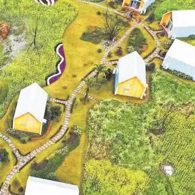 最新高原歌曲席卷音乐界,开启全新篇章