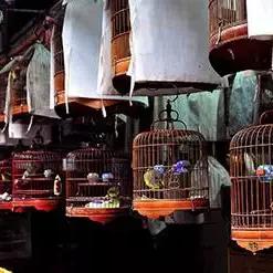 香港发展数字揭秘，现状与未来展望