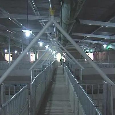 最新肉鸡防疫程序详解