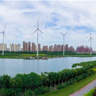 2025动漫图片流行趋势及特色深度解析