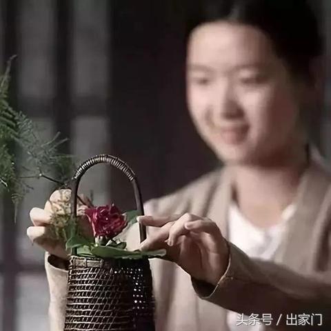 茶叶扦插技术最新进展,高效繁育茶树苗方法