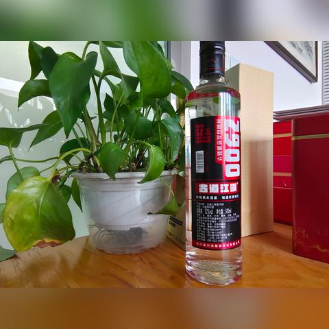 老蛮最新号揭秘数字背后的故事