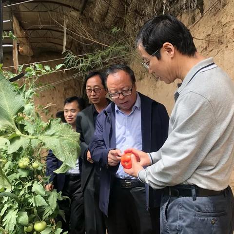 横山煤炭价格最新动态分析